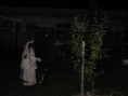 /album/cesta-rozpravkovym-lesom/a11-jpg1/